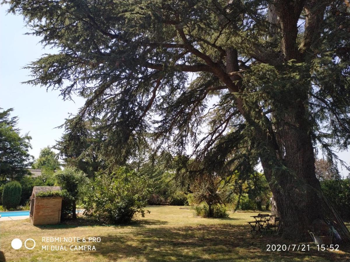 La Maison De L'Oenologue Poucharramet Dış mekan fotoğraf